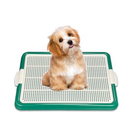 Pets-N-Me Dog Pee Pad Holder, Puppy Potty Training Tray 22.5”X16.5” for Small and Medium Size Dogs (Green)