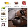CAISANG Travel Tea Sets 12 PACK Ceramic Teapot, Chinese Tea