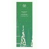 The Body Shop Enchanted Forest Reed Diffuser Kit
