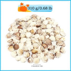 Jangostor 0.68LB(100pc+) Small Sea Shells Small Tiny Sea Shells Clam Shells Bulk Natural Scallop Shells for Home Decor Beach Theme Party Fish Tank Vase Filler
