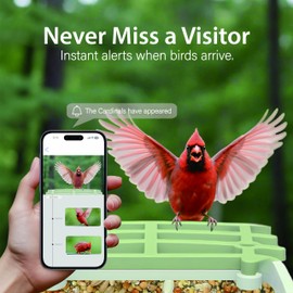 Billber Bird Feeder with Camera - Outdoor Smart High-Definition Hummingbird Feeder, Solar Panel & Night Vision, Real-Time View & Instant Alerts, Good Ideal Gifts for Bird Watching Enthusiasts