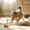 Cat Toys Cat Remote Control Toy, APP Bluetooth Connect Remote
