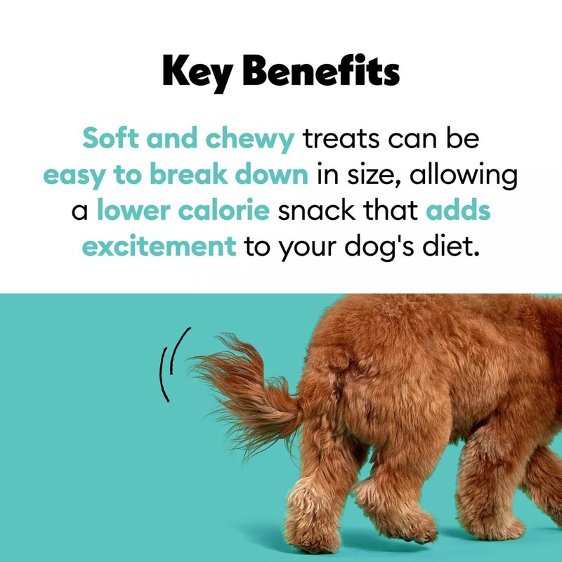 Wiggles & Wags 1 Soft Chews Peanut Butter Recipe Bone-Shaped