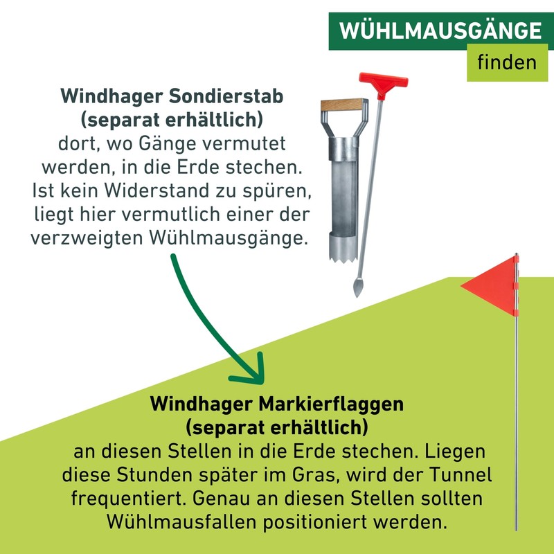 Windhager 05315 Vole Trap – 6.5 x 22 x 25