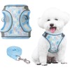 Step-in Dog Harness Small Dogs, No Pull Adjustable Soft Mesh