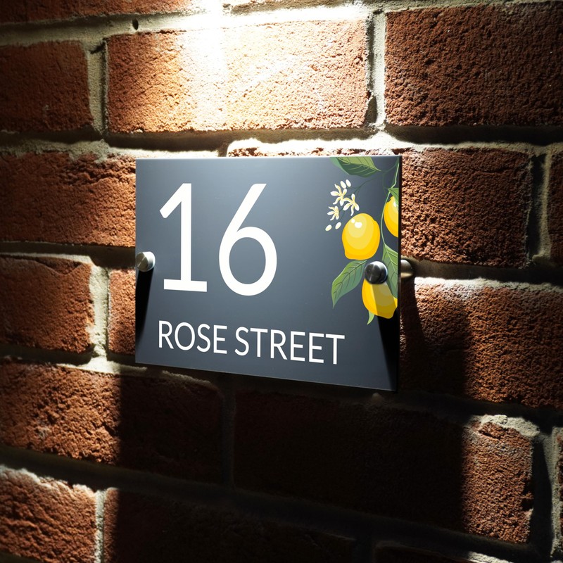 Badgemaster Modern Anthracite House Number Sign Plaque Stainless Steel Standoffs