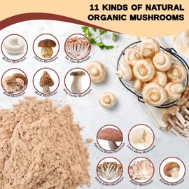 7.05oz Dried Mixed Mushroom Powder - 100% Pure Natural Mushroom Seasoning, 11 Variety Superfood Blend for Cooking, Ramen, Coffee, Sauces & Soup, No Additives, Gluten-Free & Vegan