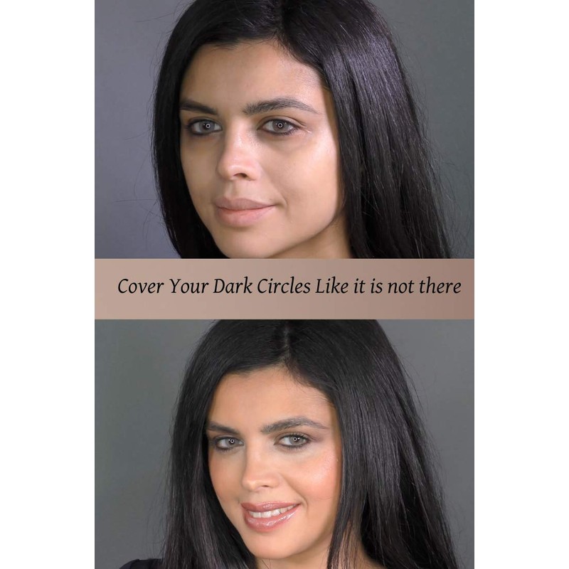 Ageless Derma Camoufleur Mineral Makeup Cream Under Eye Concealer Wheat.