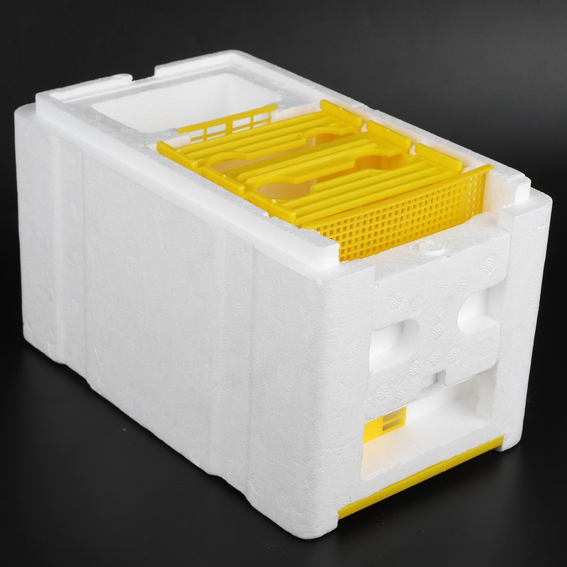 Queen Bee Mating Box Foam Breeding Rearing Copulation Accessory Beekeeping