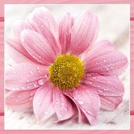20 Napkins Large Pink Flower for Spring and Summer 33 x 33 cm