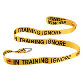 Funny Dog Leash Have in Training Ignore Dog Leash Walking Training Dog Leashes Owner Pet Lover Gift (in Training Ignore-YE)