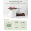 Fayoula Self Watering Plant Pot, 6 Inch African Violet Pots