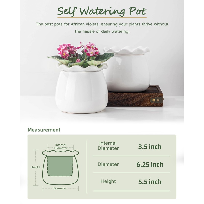 Fayoula Self Watering Plant Pot, 6 Inch African Violet Pots