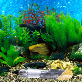 2 Pack Clear Glass Planaria Trap Catch Trap Aquarium Cleaning Supply for Dwarf Shrimp Crystal red Shrimp (2 Holes)