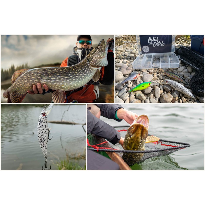 PetrisCatch Minnow Pike Wobbler Set of 4 + 4 Steel