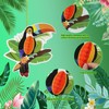 6Pcs ﻿Tropical Birds Honeycomb Paper Cutouts,Colourful Hawaiian Tropical Parrot Honeycomb