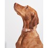 Wild One Collar - Small - Cocoa