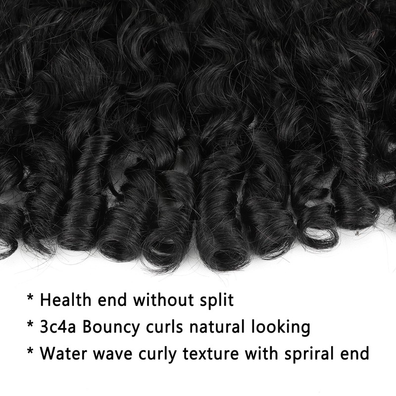 Burmese Curly Wig Pre-Plucked, Pre Bleached Tiny Knots Daily Wear
