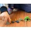 Gemini & Genius Life Cycle of Frog Figurines, Bulk Insect