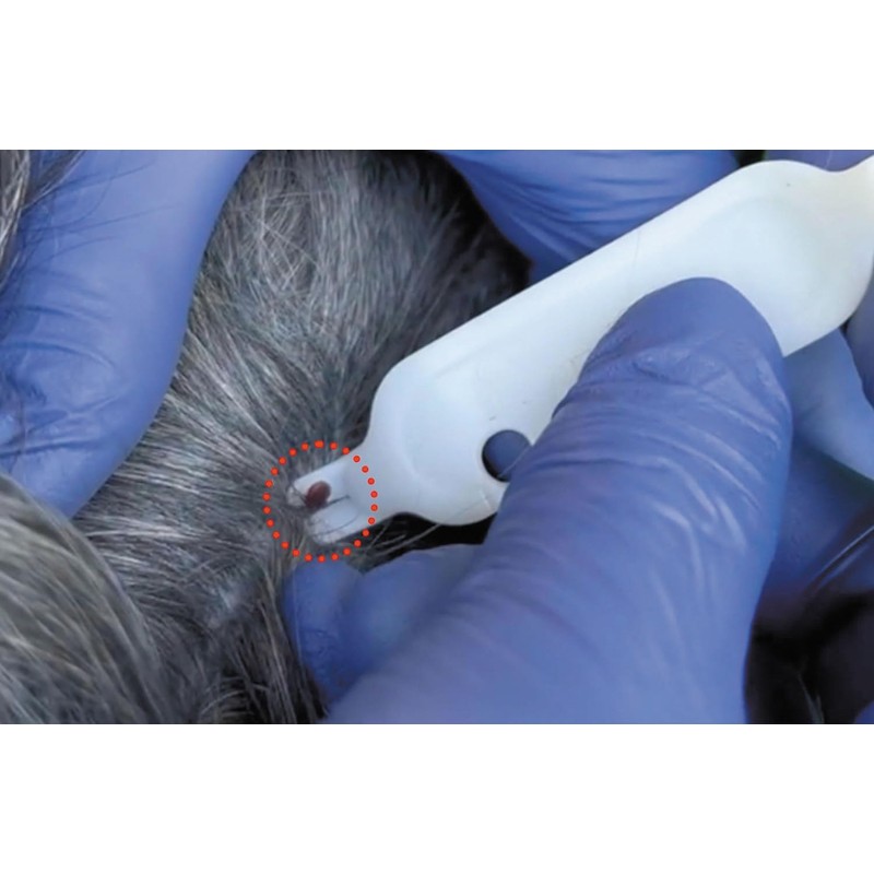 bugbitefamily BF01100000 Tick Off Tick Removal, White