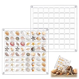YCHYAN 64 Compartments Acrylic Shell Box, Clear Shell Collection Box, Magnetic Display Box, Box, Multifunctional Transparent, Shell Starfish Organiser, Container Small Craft Organiser Holder