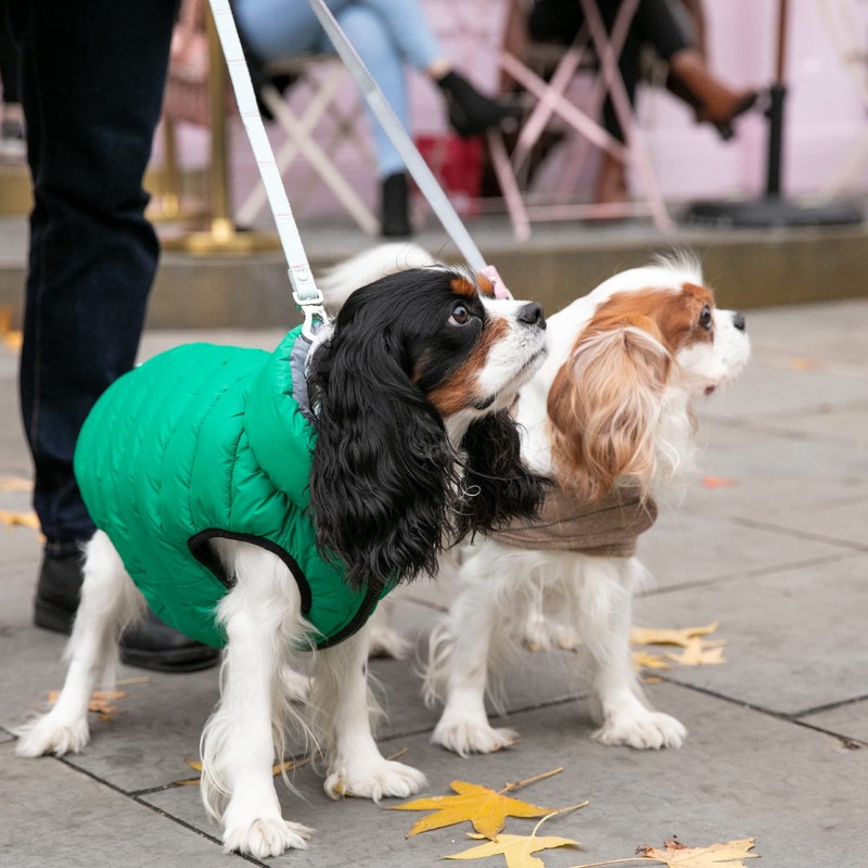 HUGO & HUDSON Tweed Dog Lead with Padded Handle -