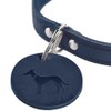 HUNTER Aalborg Dog Collar, Colour: Orange, Robust and Durable Leather,