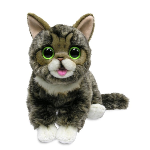 Cuddle Barn - Lil BUB | Soft Adorable Kitten Stuffed