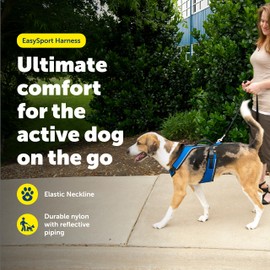 PetSafe EasySport Harness - Durable Padded Fabric, Adjustable Elastic Neckline, Rear-Leash Attachment & Nighttime Reflective Visibility - No Choke or Gag Secure Fit - Medium - Blue