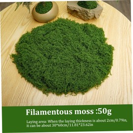YUNXIASW Fake Moss 50g Plastic Artificial Moss Realistic Looking Faux Moss Nutural Fake Green Lichen Plants for Plant Pot Crafting Garden Patio Decoration Dark Green Floral Moss