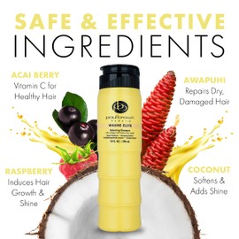 Paul Brown Hawaii Washe Elite Shampoo | Hydrate & Treat Damaged Hair | Moisturizing Hair Product, Safe for Color-Treated Hair, Antioxidant-Rich Kukui Nut Oil (10 oz.)