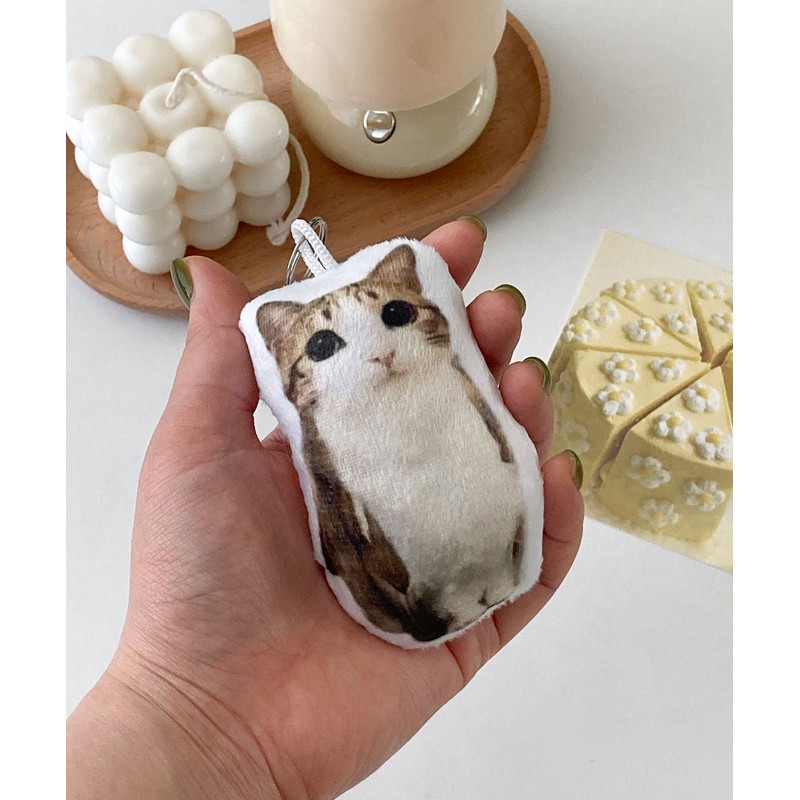 Dederit Funny Sounding Song Sound Cat Owl Plush Keyring