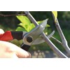 Senkichi SGP-50 Pruning Shears, Strong 7.9 inches (200 mm)