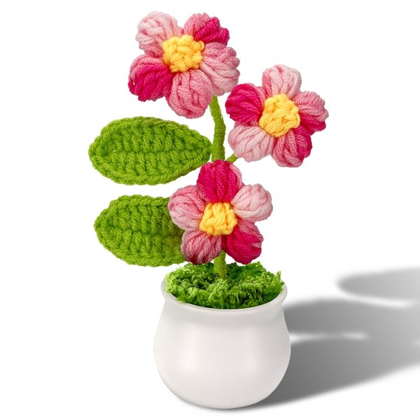 Phaicoilo Crochet Potted Puff Flowers Knitted: Handmade Knitted Flower for