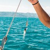 Minnow Fishing Lures | Three-Section Sinking Minnow Lures - Catfish
