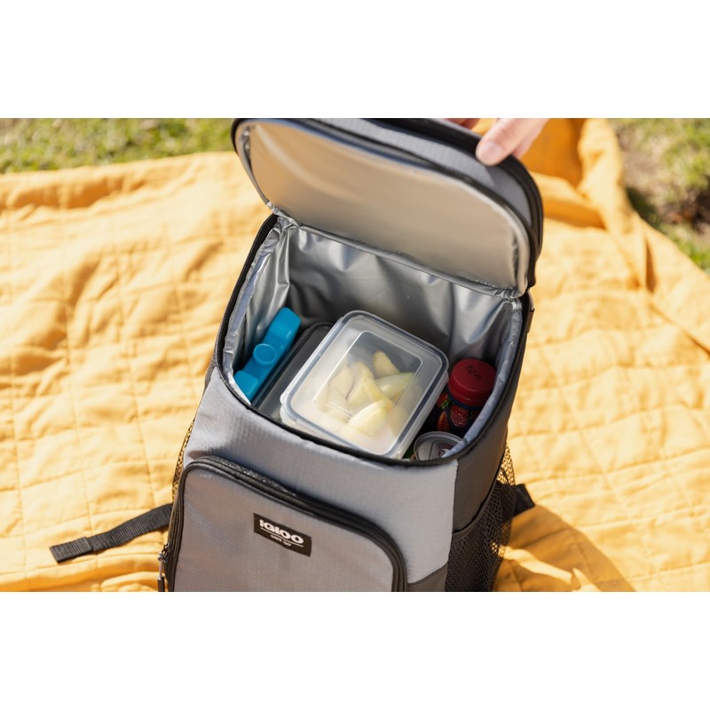 Igloo Maxcold Ice Blocks, Reusable Ice Packs for Coolers, Freezer