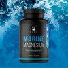 Magnesio Marino de 240 Cápsulas. Ingredientes naturales. Alta biodisponibilidad y