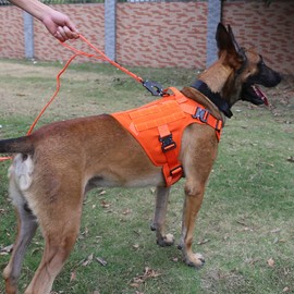 ICEFANG Tactical Dog Harness with 4X Metal Buckle,Working Dog MOLLE K9 Vest with Handle,No Pulling Front Clip,Adjustable Pet Harness for Meduim Dogs (M (25"-31" Chest), Orange)