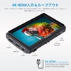 FEELWORLD S55 V2 5.5" DSR Camera Field Monitor 3D LUT