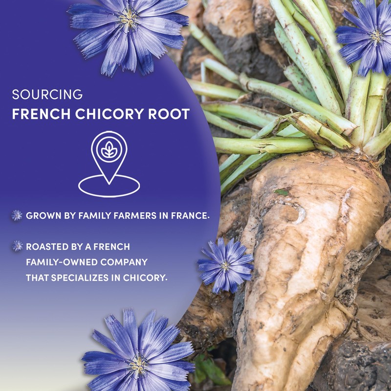 Worldwide Botanicals French Chicory Root, 1 Pound - Brew Like