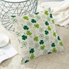 Gohdiwh St Patricks Day Pillow Covers 18x18 Set of 2,