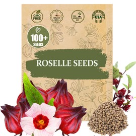Premium Roselle Seeds (Hibiscus Sabdariffa) – 100+ High-Yielding, Non-GMO Heirloom Seeds for Planting - Hibiscus Flowers