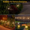 Solar Lights Outdoor, 2 Pack Solar Firework Lights Outdoor –