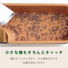 OKA Vegetable Sprout Pot, Brown (Broccoli, Sprout, Home Garden, Pea
