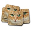 4 Set - Ginger Cat Face Coaster - Kitten Cats
