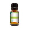 Mayan’s Secret- Cake - Premium Grade Fragrance Oil (10ml)