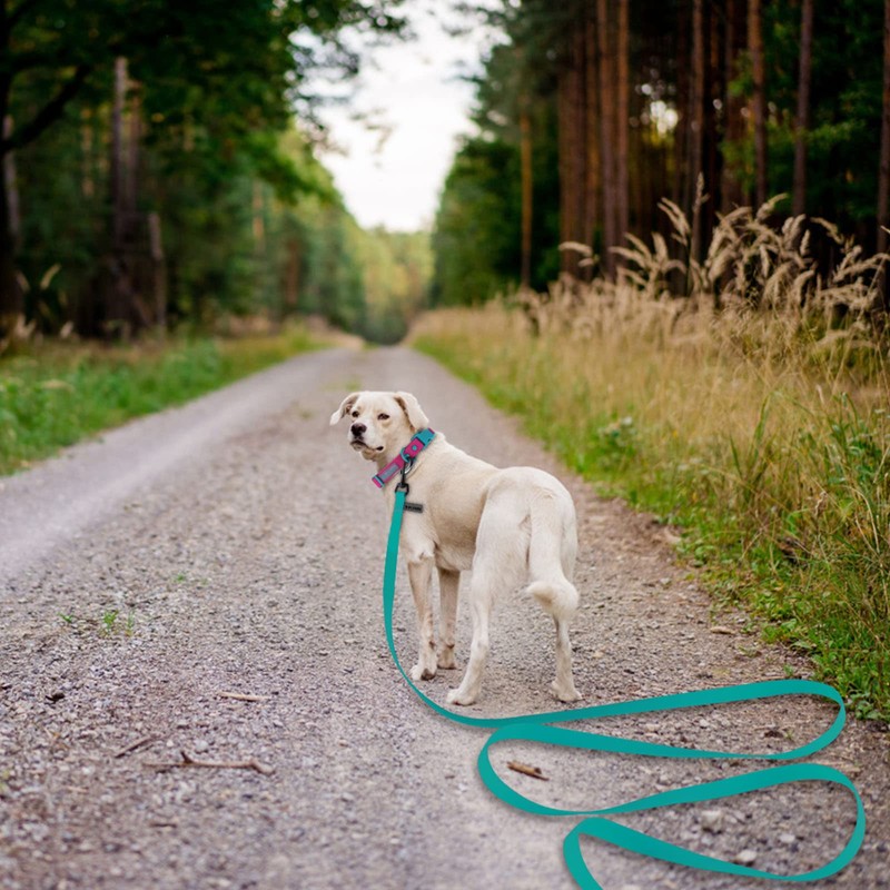 Wolfone Viridian Green 9m Long Line Lead Waterproof Recall Training