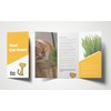 purr paw Cat Grass x4 Pack (Starts Growing in 5