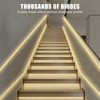 Tatazone 32.8ft 3000K Bright COB LED Strip Light, Dimmable, Warm