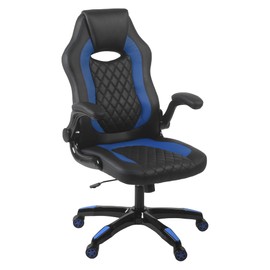 Aon Archeus Gaming Style Computer Desk Chair, Built-in Lumbar Support, Flip-Up Arm, Lock/Tilt 360 Swivel, 300 lb. max - Black & Blue